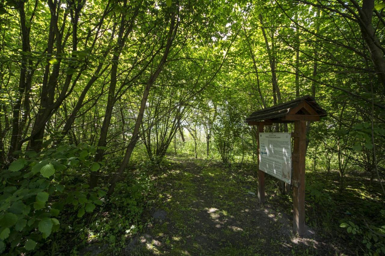 Апартаменты Toereki 34 Vendeghaz Шиофок Экстерьер фото